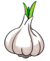 garlic